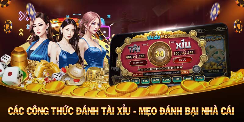 Tỷ Lệ Cá Cược Bóng Đá Cao Nhất - So Sánh Toàn Diện